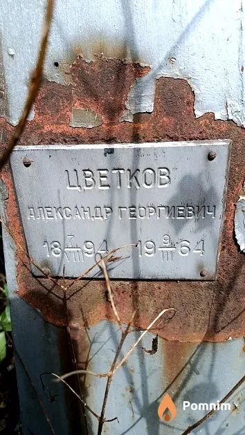 Цветков Александр Георгиевич