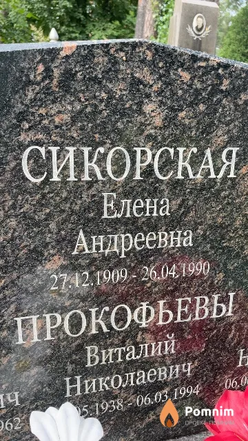 Сикорская Елена Андреевна