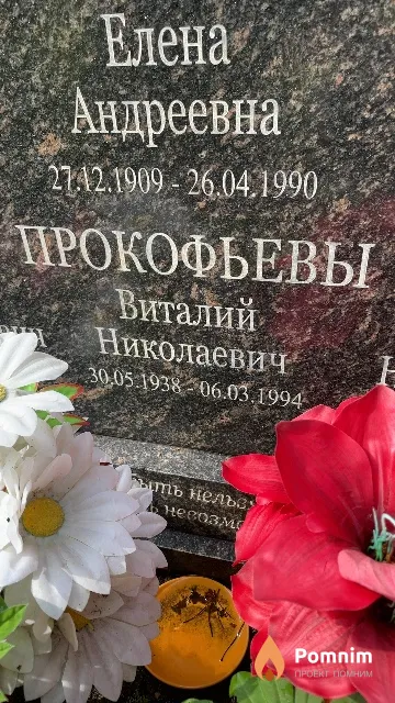 Прокофьев Виталий Николаевич