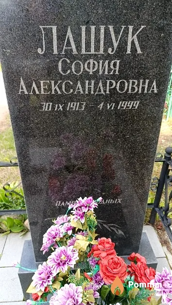 Лашук София Александровна