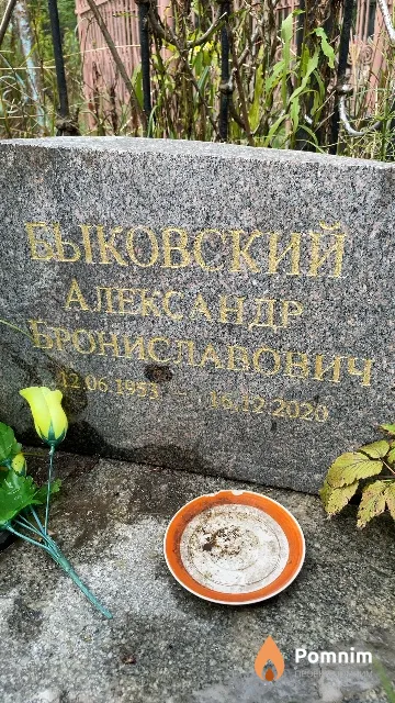 Быковский Александр Брониславович