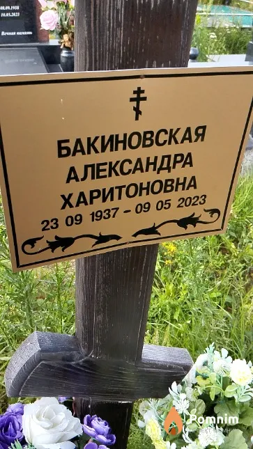 Бакиновская Александра Харитоновна