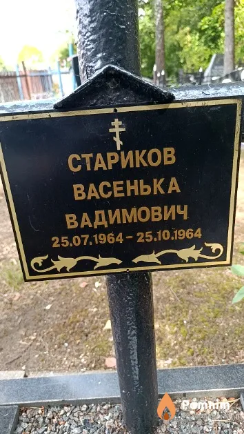 Стариков Васенька Вадимович