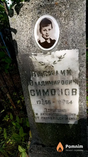 Симонов Василий Владимирович