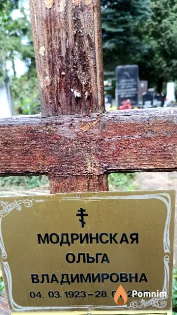 Модринская Ольга Владимировна