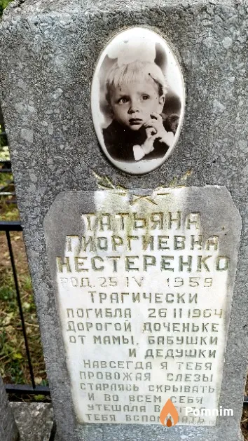 Нестеренко Татьяна Георгиевна