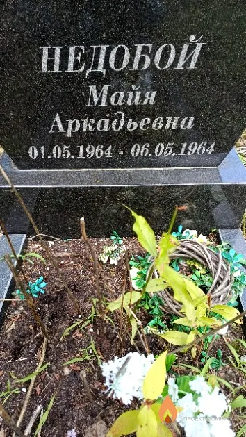 Недобой Майя Аркадьевна