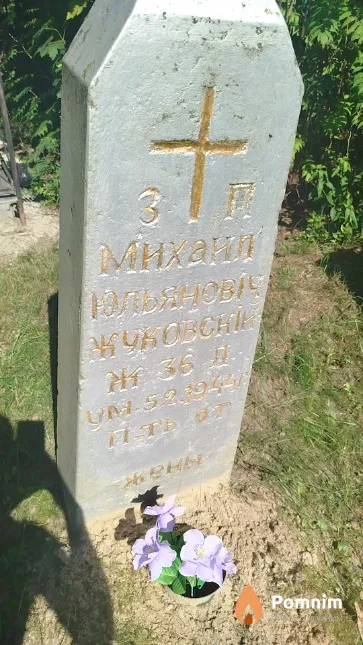 Жуковский Михаил Юльянович