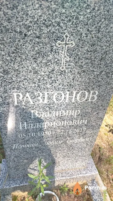Разгонов Владимир Илларионович