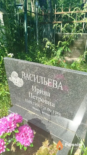 Васильева Ирина Петровна
