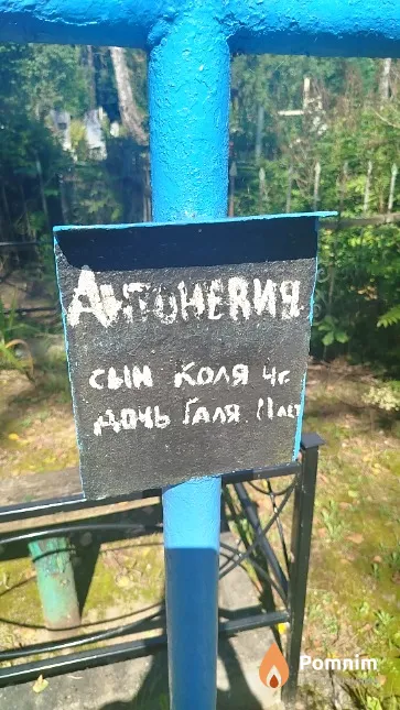 Антоневич Николай