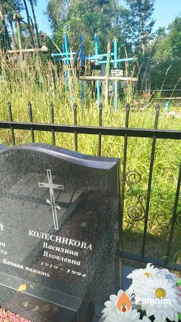 Колесникова Василина Яковлевна