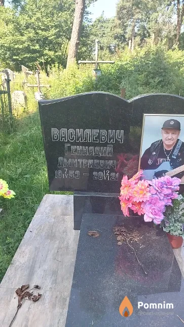 Василевич Геннадий Дмитриевич