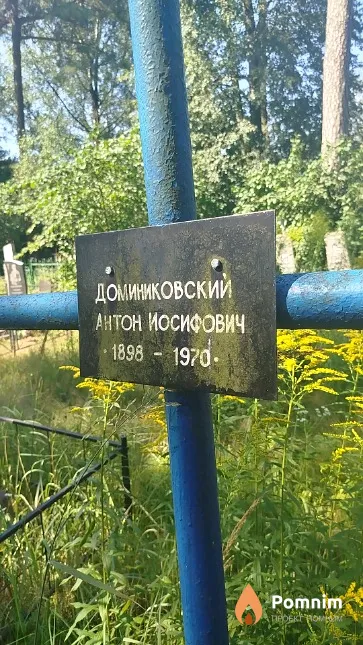 Доминиковский Антон Иосифович