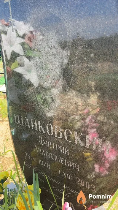 Шайковский Дмитрий Анатольевич