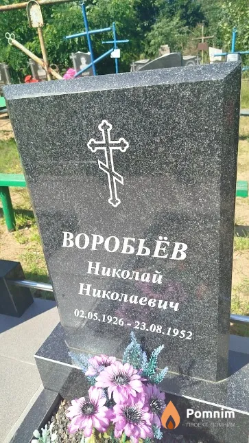 Воробьев Николай Николаевич