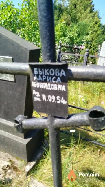 Быкова Лариса Леонидовна