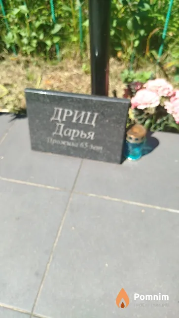 Дриц Дарья