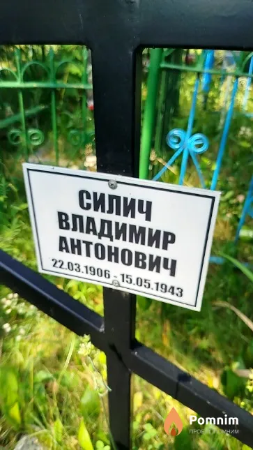 Силич Владимир Антонович