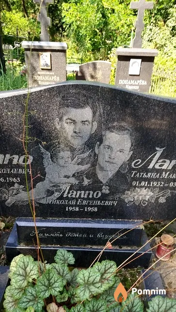 Лаппо Николай Евгеньевич