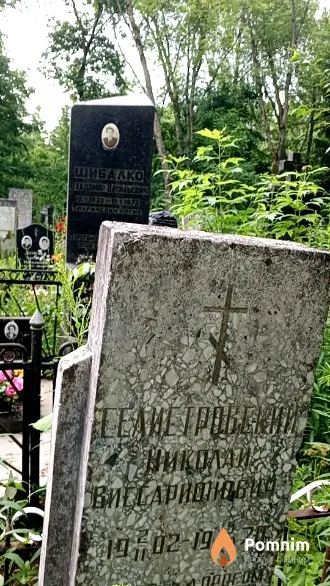 Селистровский Николай Виссарионович