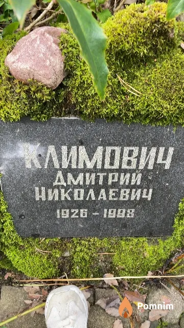Климович Дмитрий Николаевич