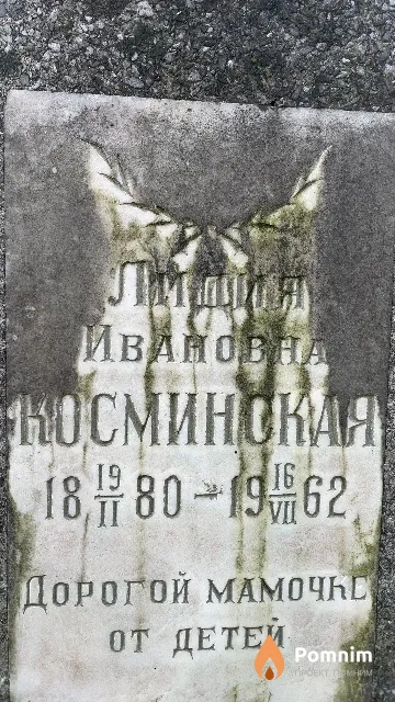 Косминская Лидия Ивановна