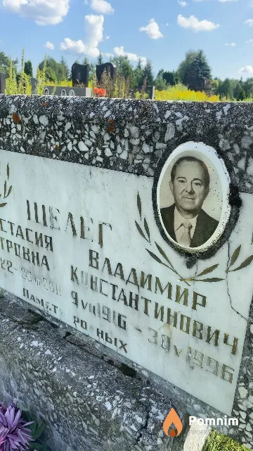 Шелег Владимир Константинович