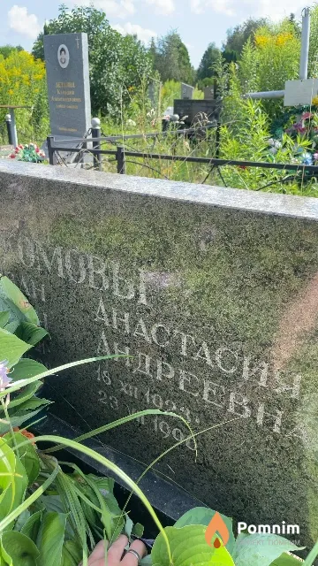 Комова Анастасия Андреевна