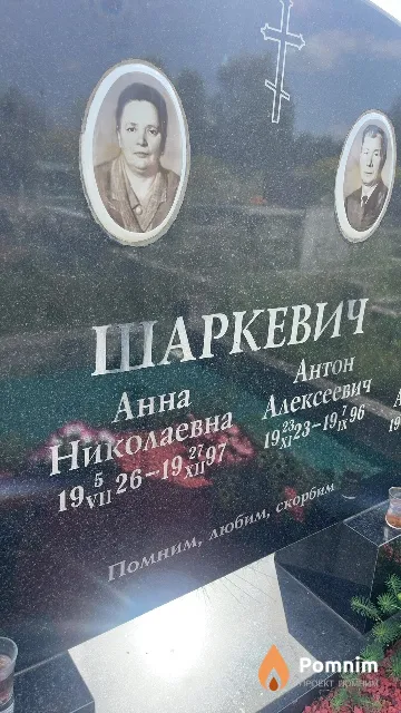 Шаркевич Анна Николаевна
