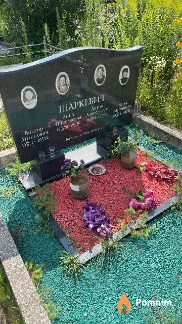 Шаркевич Антон Алексеевич
