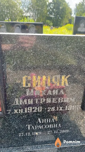 Синяк Михаил Дмитриевич