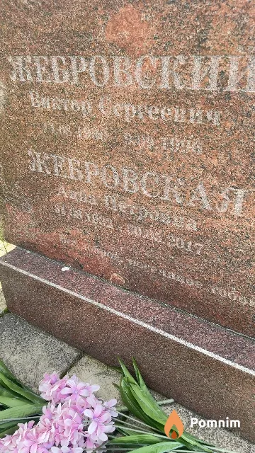 Жебровская Анна Петровна