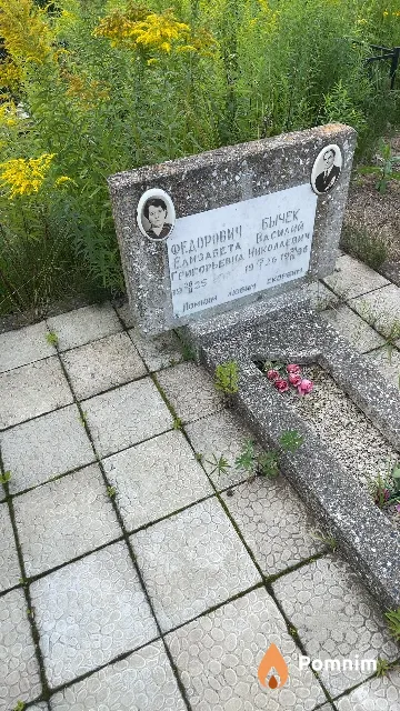 Бычек Василий Николаевич