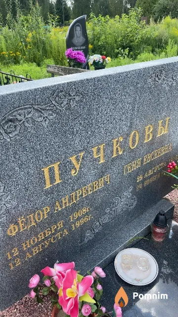 Пучков Фёдор Андреевич