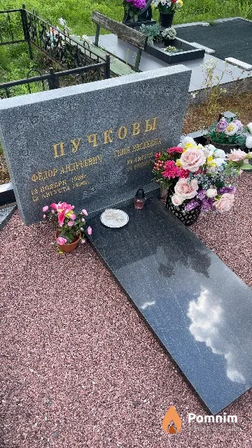 Пучков Геня Евсеевна
