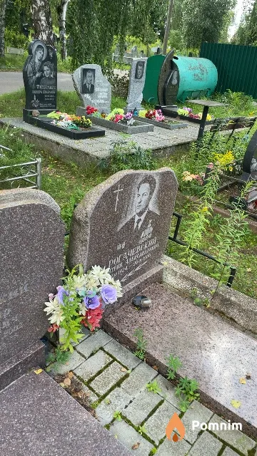 Рогачевский Дмитрий Александрович