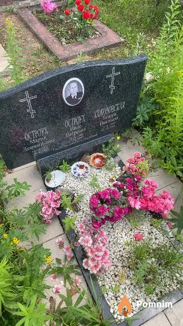 Соколовская Тамара Ивановна