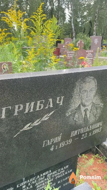 Грибач Гарий Витольдонич