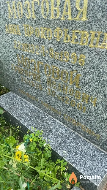 Мозговой Григорий Иванович