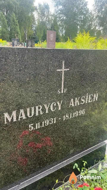 Морис Аксен