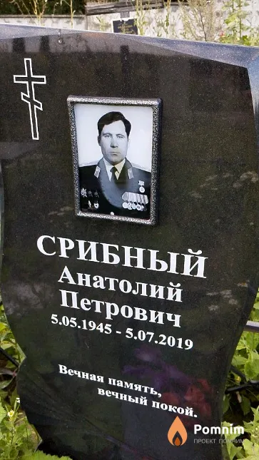 Срибный Анатолий Петрович