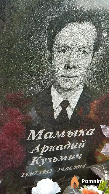 Мамыка Аркадий Кузьмич
