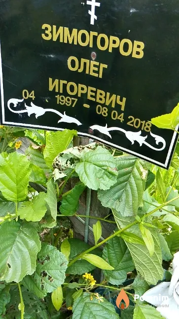 Зимогоров Олег Игоревич