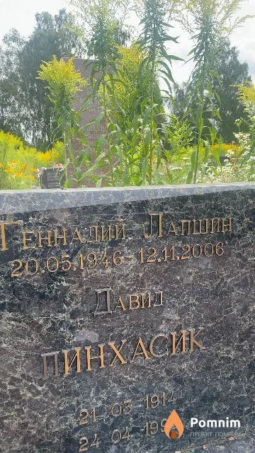 Лапшин Геннадий