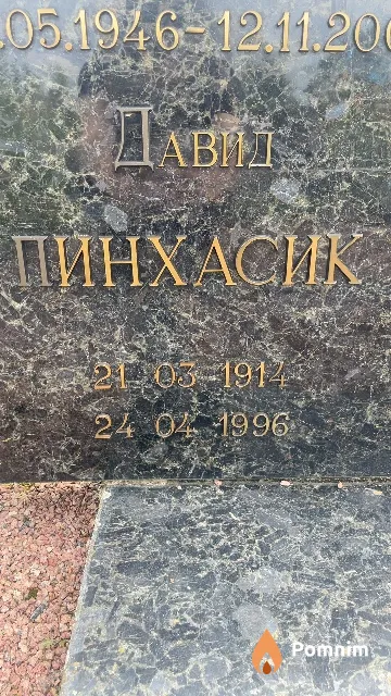 Пинхасик Давид