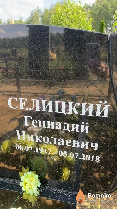 Селицкий Геннадий Николаевич