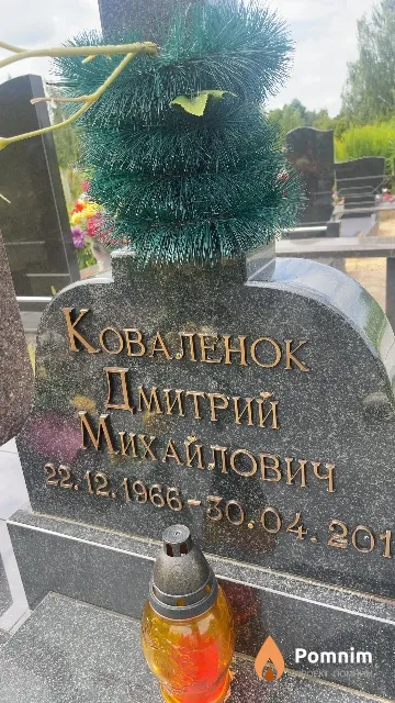 Коваленок Дмитрий Михайлович