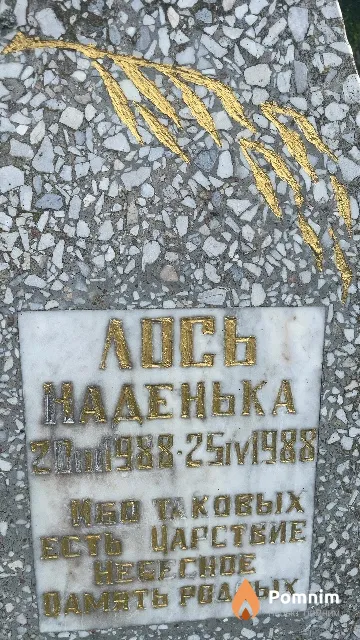 Лось Надежда