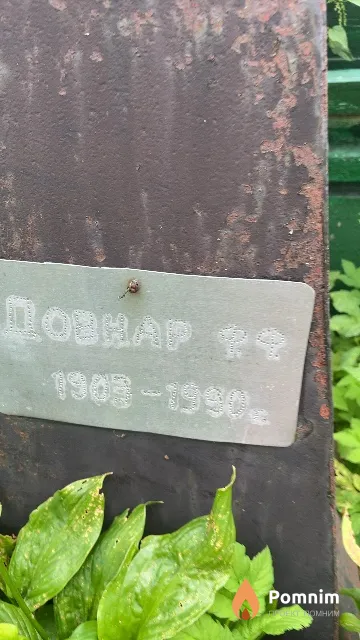 Довнар Ф Ф